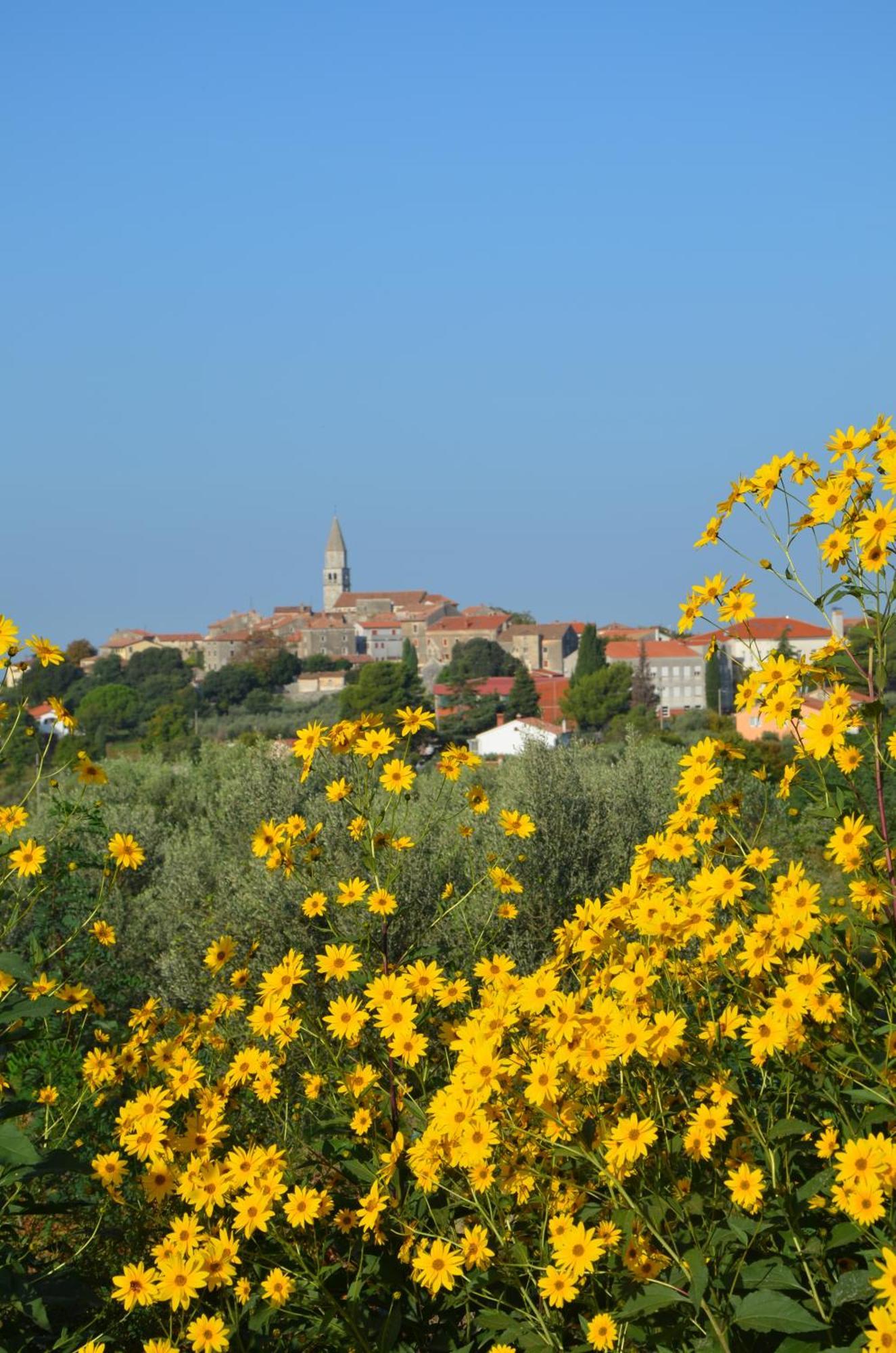 Villa Leopoldo By Istrian Country Houses Barat  Kültér fotó