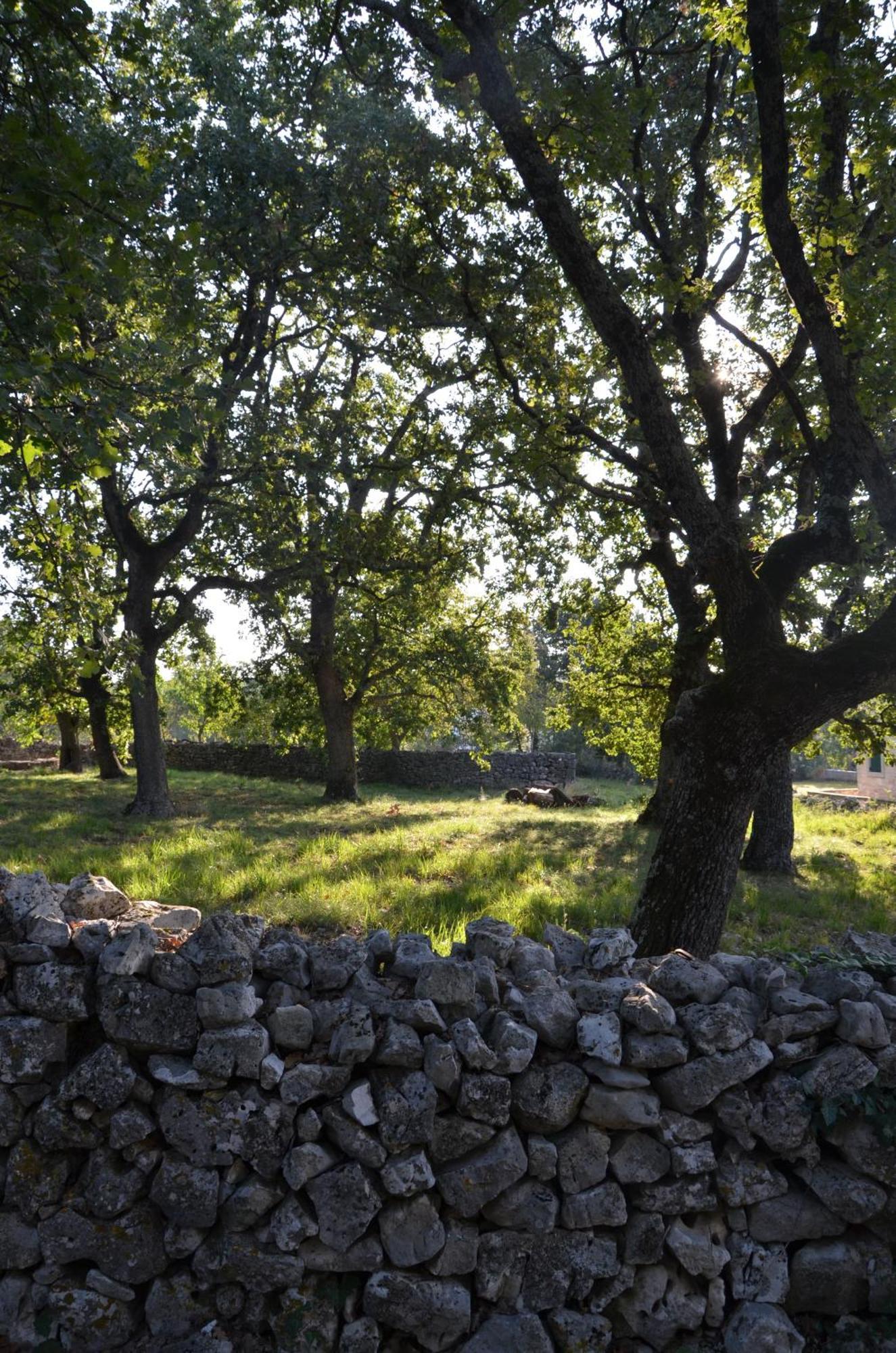 Villa Leopoldo By Istrian Country Houses Barat  Kültér fotó